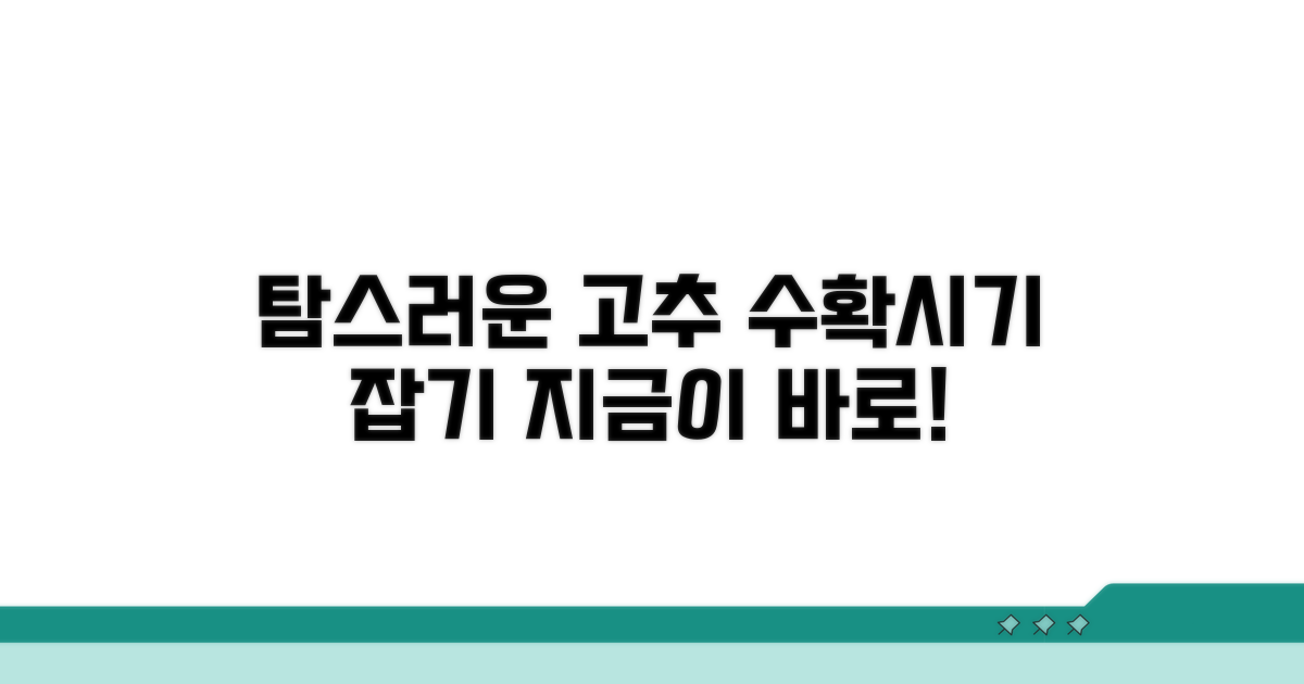 탐스러운 고추 수확 시기