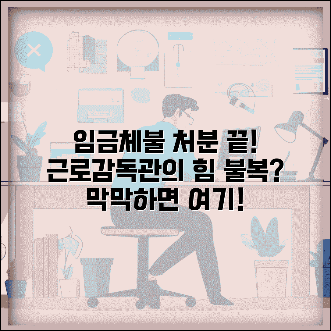 임금체불 행정처분 절차 | 근로감독관 처분 | 시정명령 이행 | 행정처분 불복
