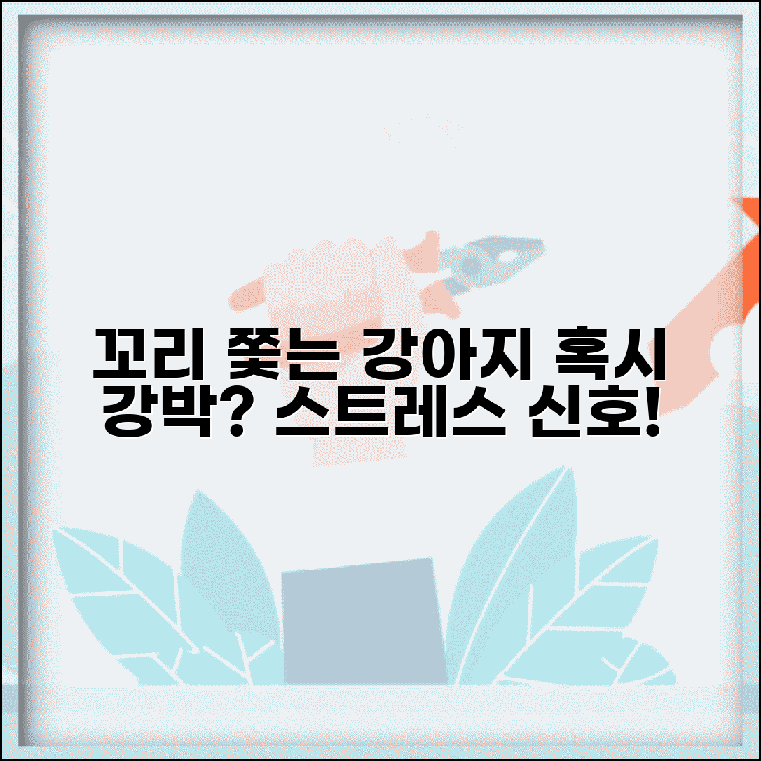 강아지가 꼬리 계속 쫓아다니는데 괜찮나요 | 강아지 꼬리쫓기 | 강박행동 | 스트레스