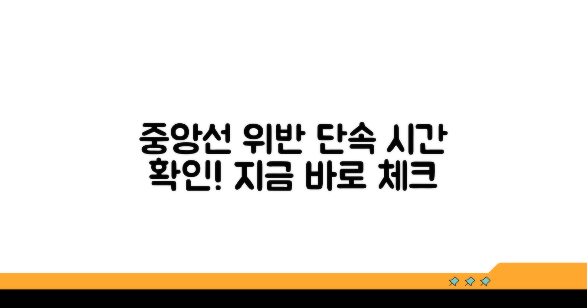 중앙선 침범 단속 시간 확인