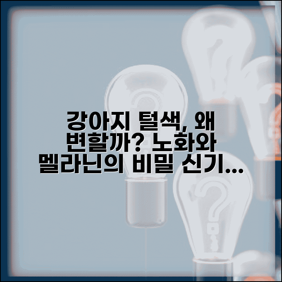 강아지 털색 변하는 이유 노화와 멜라닌 변화