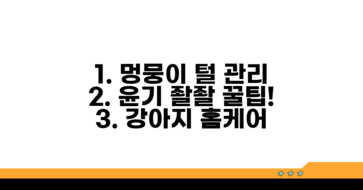 우리 강아지 털 관리 꿀팁