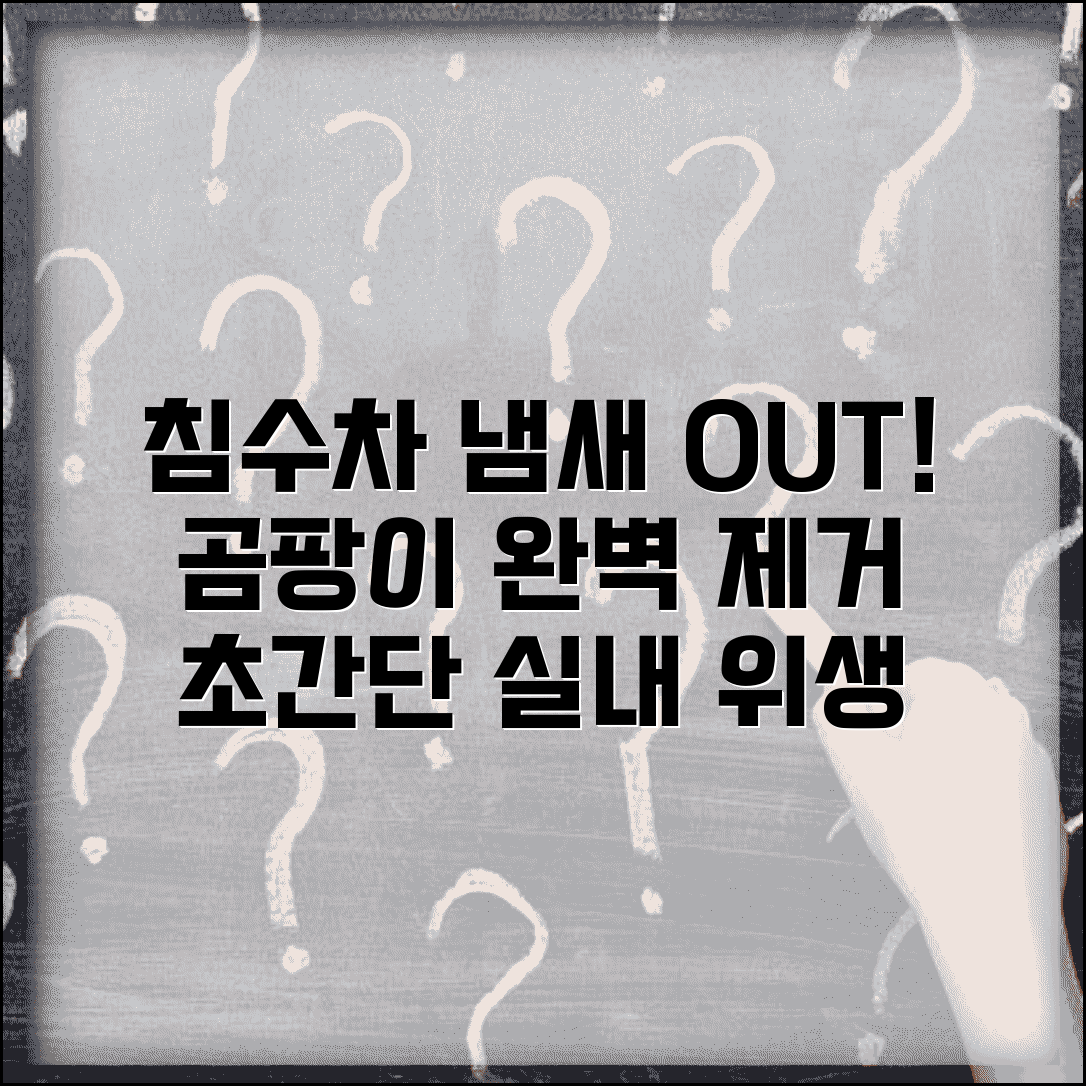 침수차 냄새 곰팡이 제거 방법 및 실내 위생 총정리
