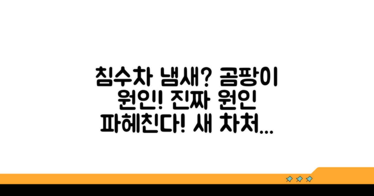 침수차 냄새, 곰팡이 원인 파헤치기