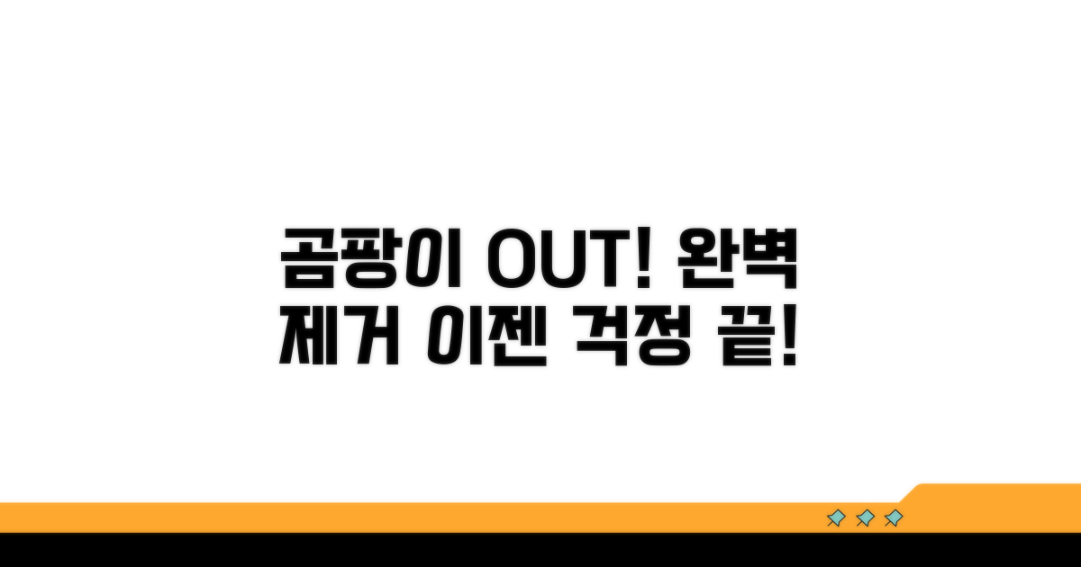 곰팡이 번식 방지, 완벽 제거 솔루션