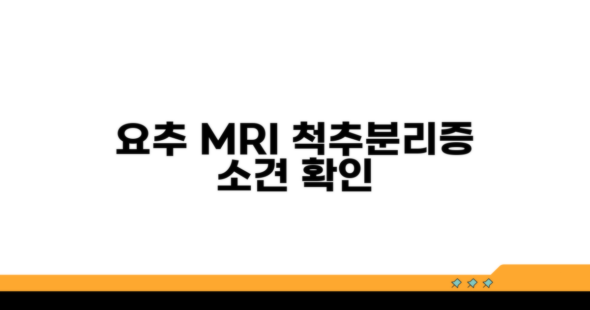 요추MRI 척추분리증 소견 확인