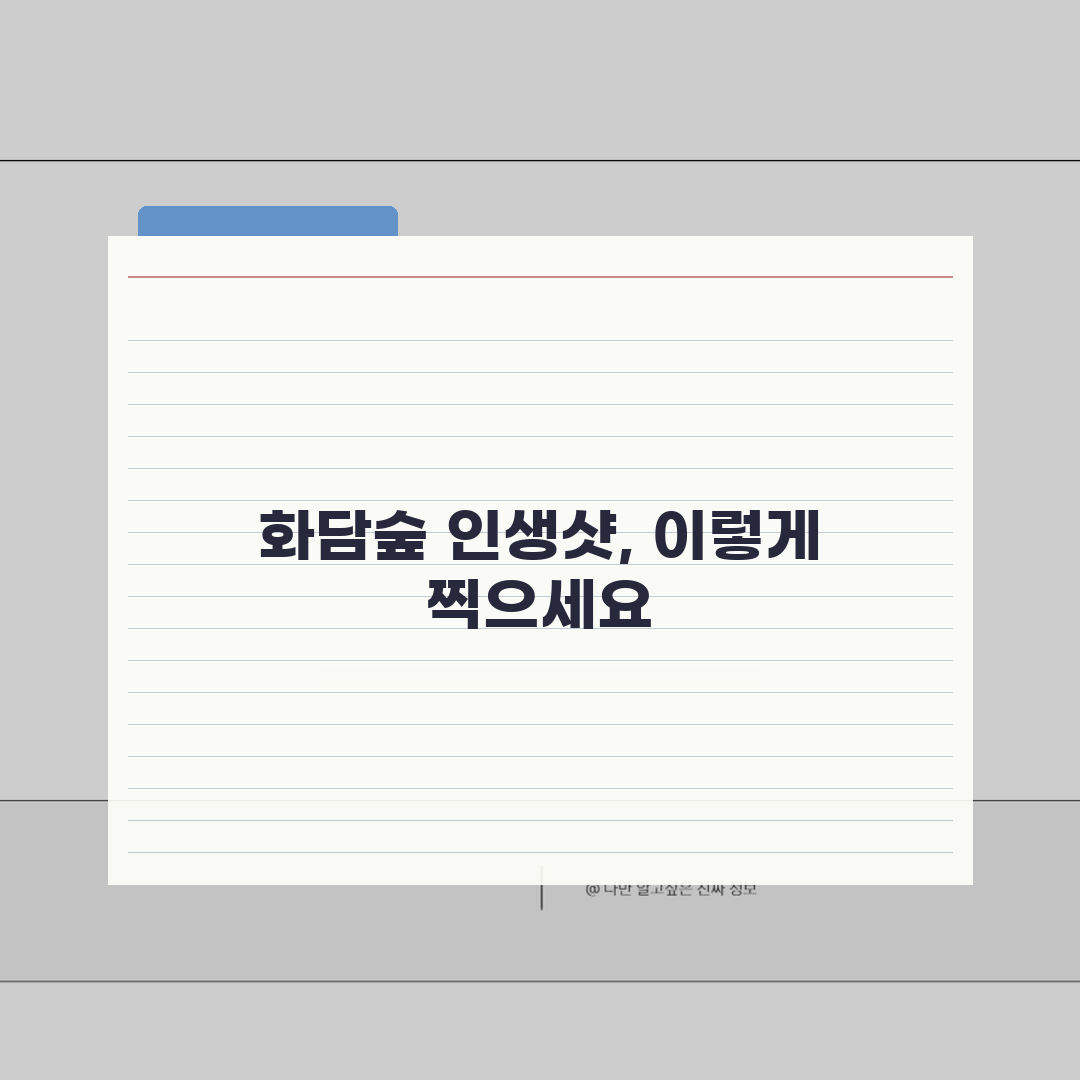 화담숲 사진촬영 스팟가이드: 시즌별 인생샷 비법 & 조명 활용 팁