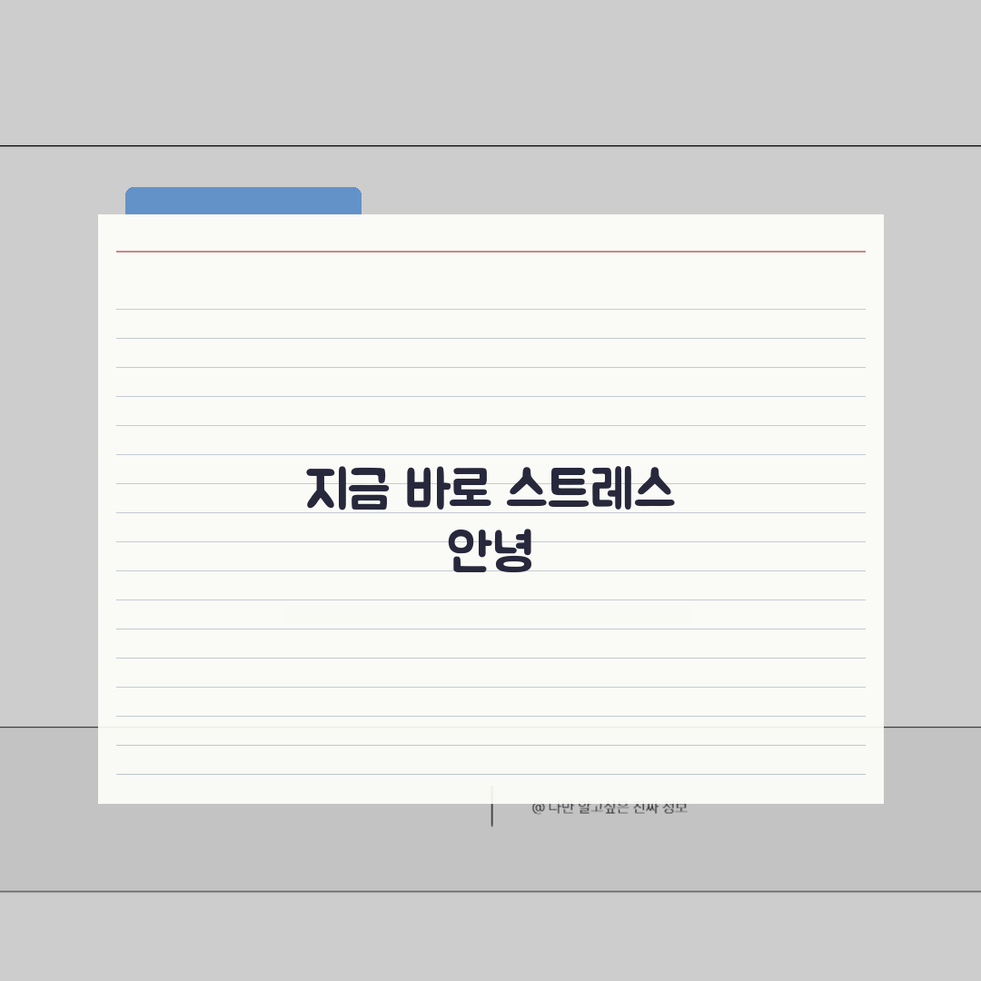 일상 스트레스 해소법 | 5가지 마음 관리 습관 만들기
