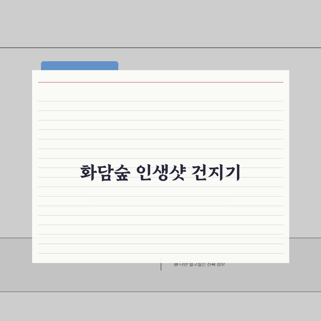 화담숲 사진촬영 스팟가이드: 시즌별 인생샷 비법 & 조명 활용 팁