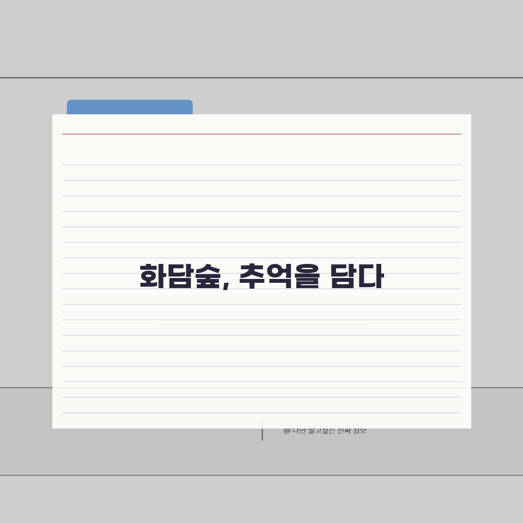 화담숲 사진촬영 스팟가이드: 시즌별 인생샷 비법 & 조명 활용 팁